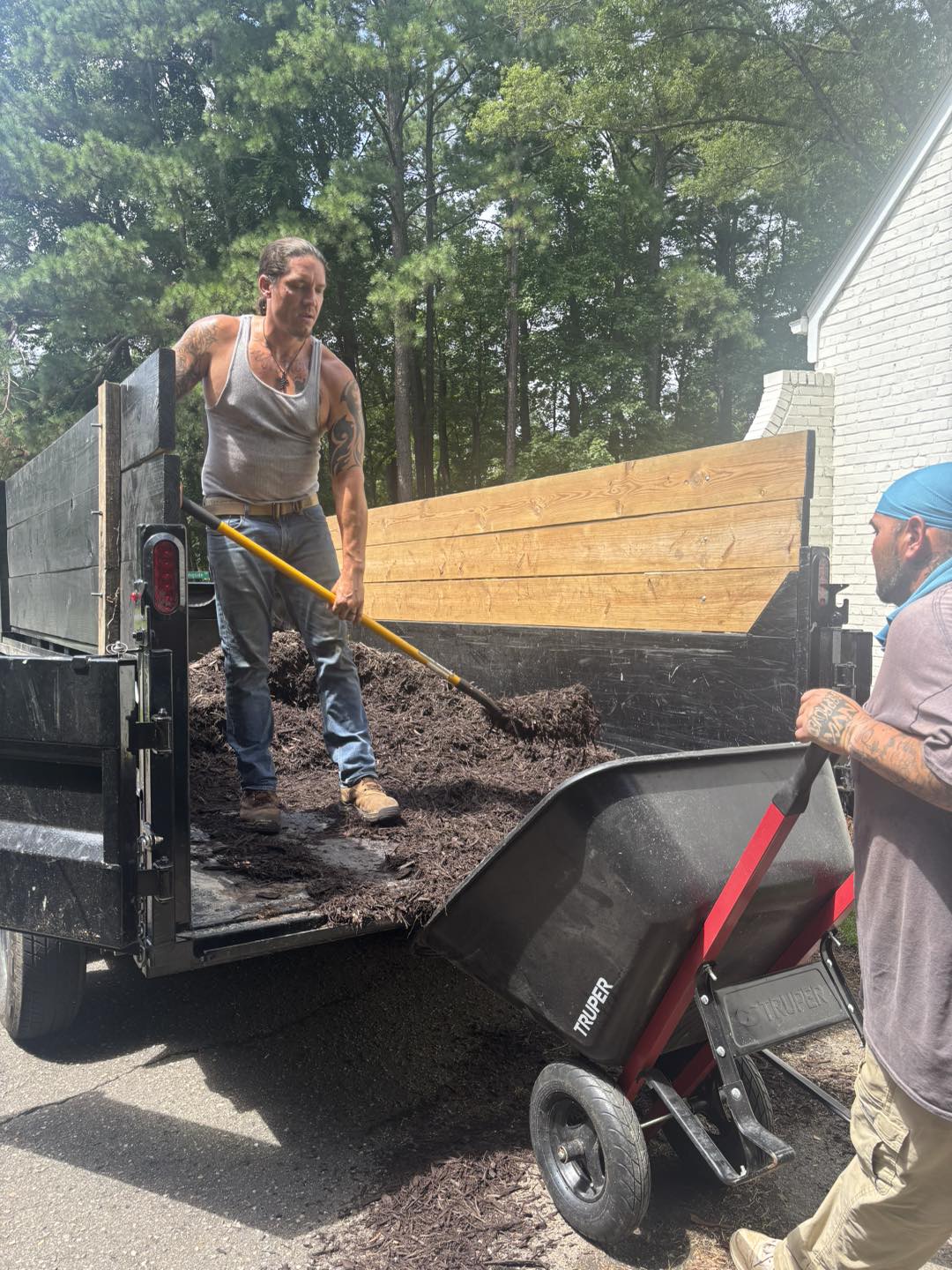 Tree service professional